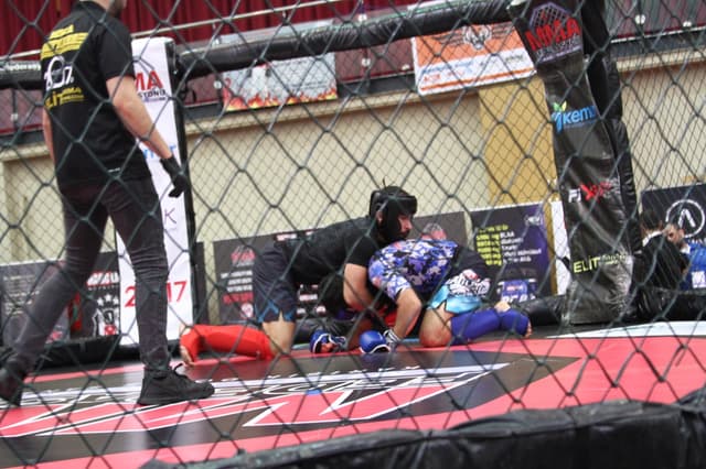 Mma_grappling